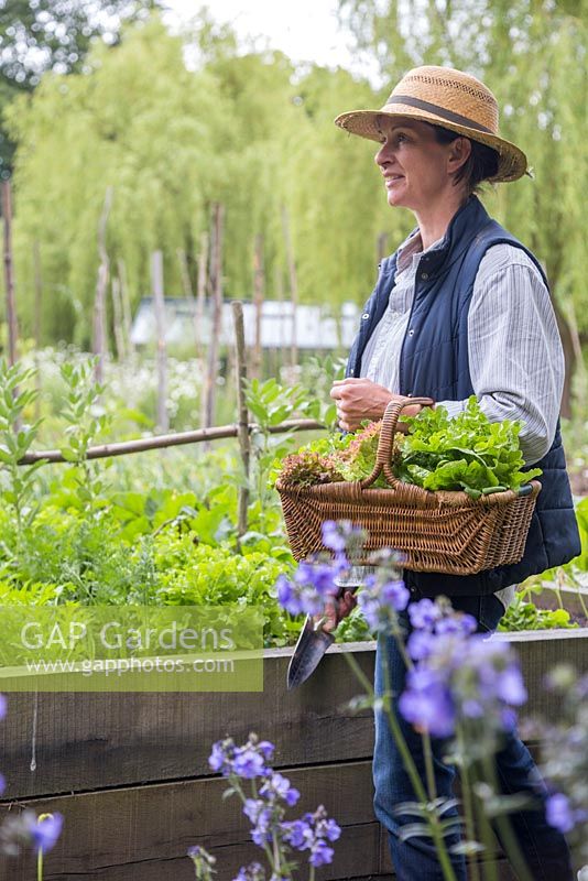 Woman walking through vegetable patch with basket of harvested vegetables