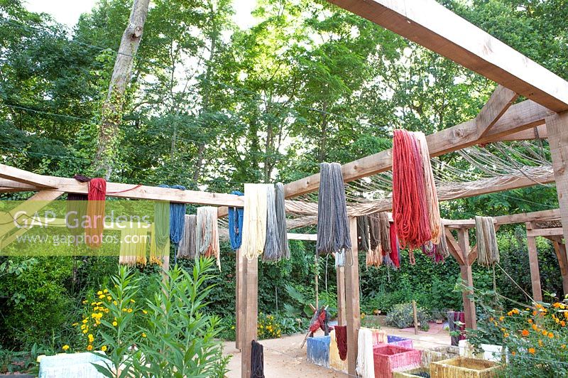 Garden used as work place for dyeing with plants. Wool hanging to dry.