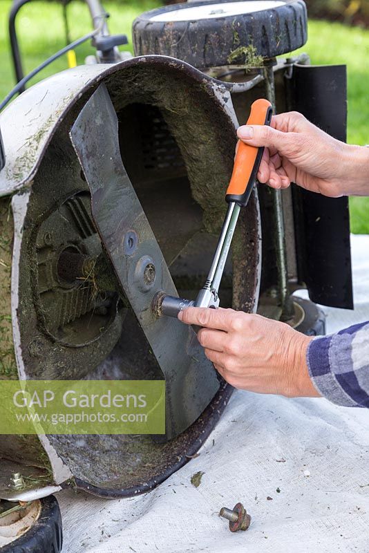 Using a socket and spanner set remove the bolts holding the mower blade in place