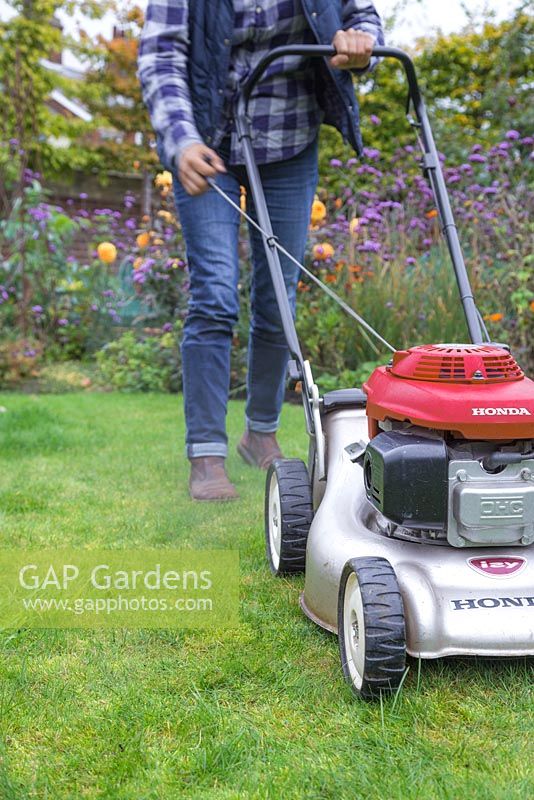 Test that the lawn mower works once the maintenance has been completed