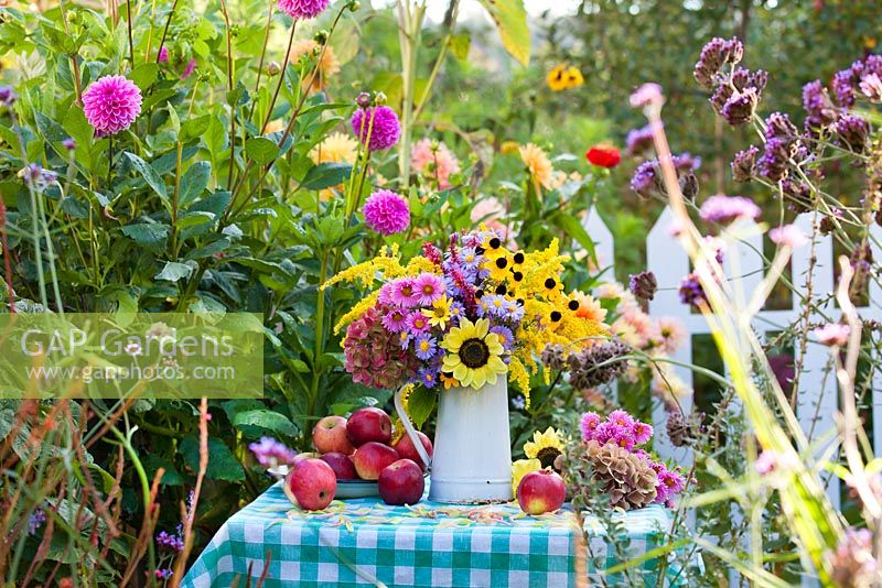 Floral and harvest display of Asters, Echinacea purpurea, Persicaria 'Firetail', Sunflowers and Apples.