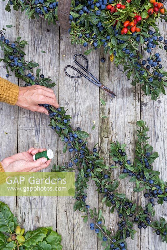 Use the craft wire to secure the Sloe berry branches together