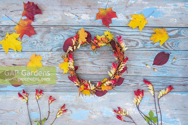 Autumnal heart shaped wreath constructed from Rose hips, Mina lobata and Autumnal leaves