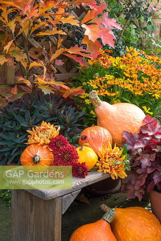 Autumnal display featuring gourds, heuchera, helenium and chrysanthemums