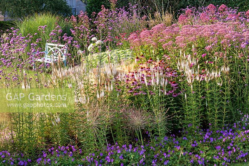 Mixed summer border with wooden bench. July.