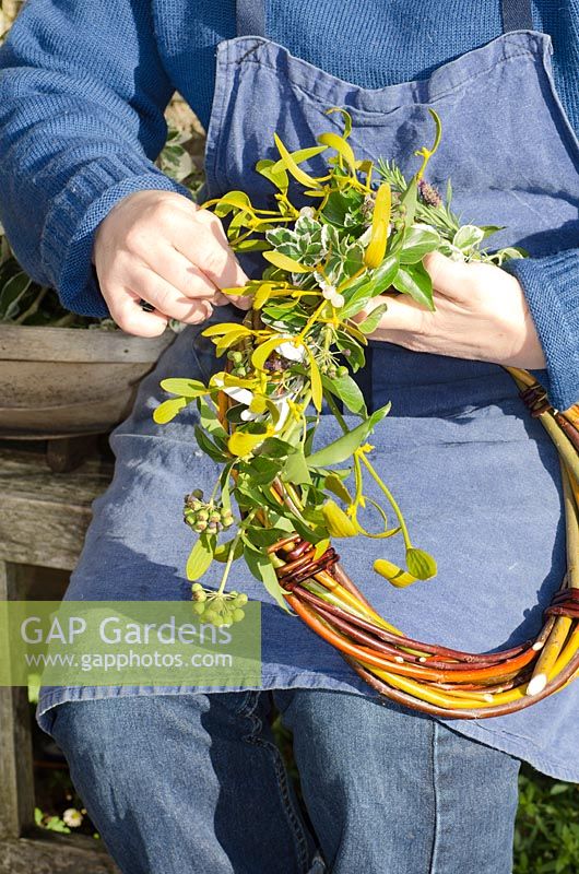 Dressing a Willow wreath with mistletoe and ivy - Common Farm Flowers, Somerset