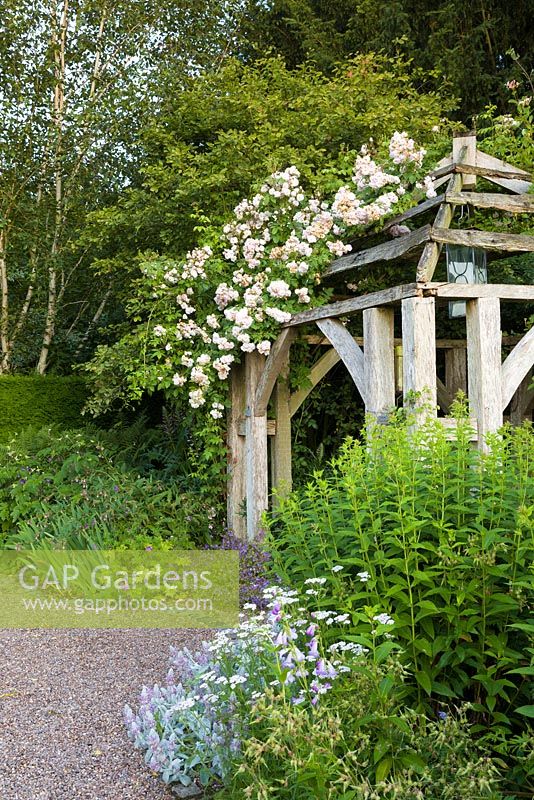 A pergola at the head of the Rill Garden at Wollerton Old Hall Garden, Shropshire, supporting climbing roses. Other planting nearby includes Stachys and Penstemons