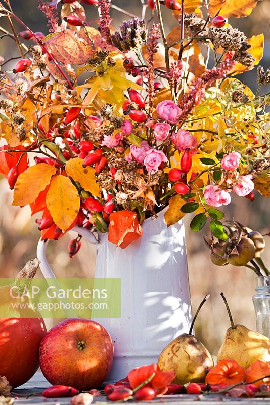 Autumn leaves and perennials in a jug: rosehips, asters, roses, Persicaria, beech, Physalis, Verbena bonariensis