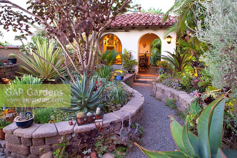 Jim Bishop's Garden. San Diego, California, USA. August.