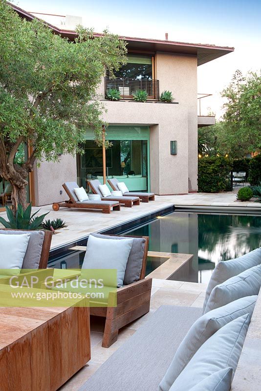 View of modern swimming pool and house with outside seating area sun loungers and mature olive tree at sunset.