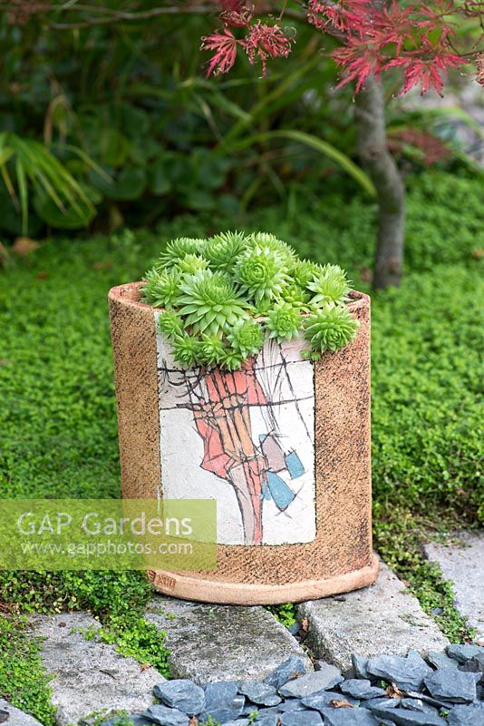 An unusual handcrafted pot filled with sempervivum surrounded by Mind-your-own-business.
