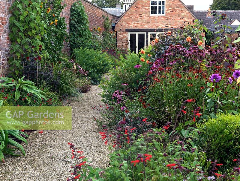 A gravel path between a double herbaceous border planted with Salvia greggii 'Royal Bumble', Echinacea purpurea 'Magus', Helenium 'Sahin's Early Flowerer', Dahlia 'David Howard' and 'Lilac Time', Aster frikartii with Helianthus 'Claret' and 'Ruby Sunset'.