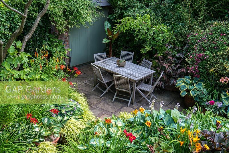 A secluded shady patio with garden furniture surrounded by lush dense borders planted with Hostas, Hakonechloa grasses, Ligularia, Persicaria microcephala, Lilium martagon, daylilies, Clematis Etoile Violette, Bamboo and a banana plant 
