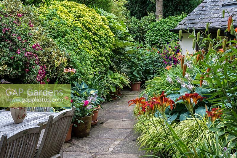 A stone path leading to the seating area lined with, left - Clematis Etoile Violette,  Eleagnus, Choisya ternata and Fatsia japonica with containers of Hosta in front. On the right, orange Daylilly and Lilium martagon, Hosta and Hakonechloa grasses.