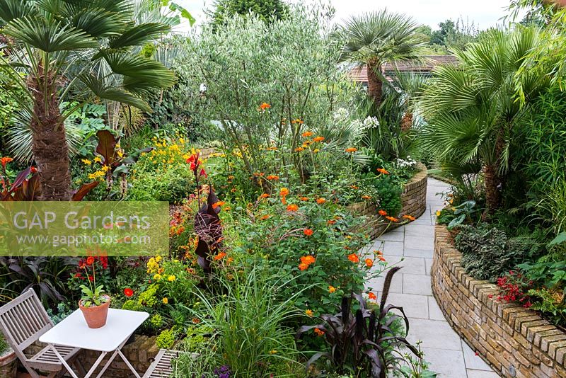 A tropical town garden with seating area surrounded by a hot border planted with tithonia, canna and zinnia. The trees include Trachycarpus wagnerianus, Chamaerops humilis, Butia capitata and Olea europea.