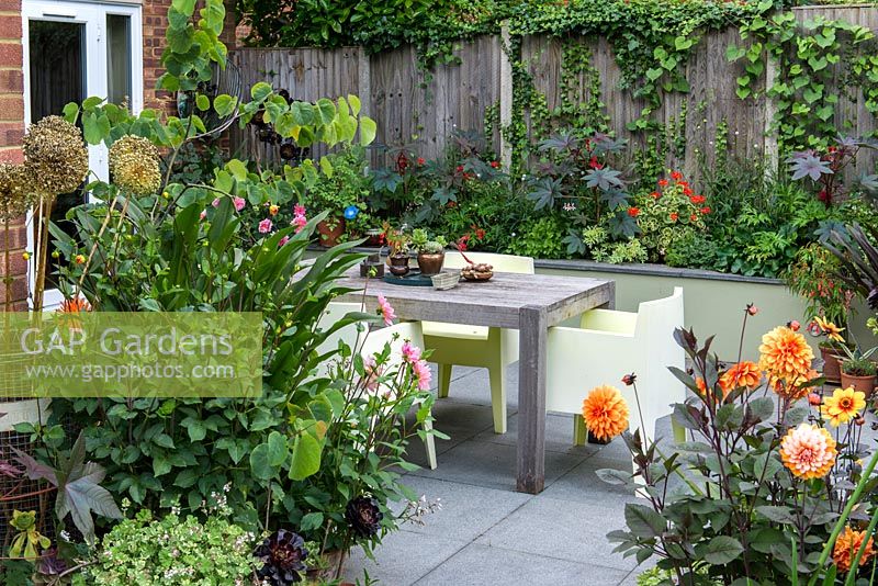 A patio seating area with contemporary garden furniture surrounded by colourful raised borders and containers with dahlia, ahapanthus, ricinus, aeonium and katsura.