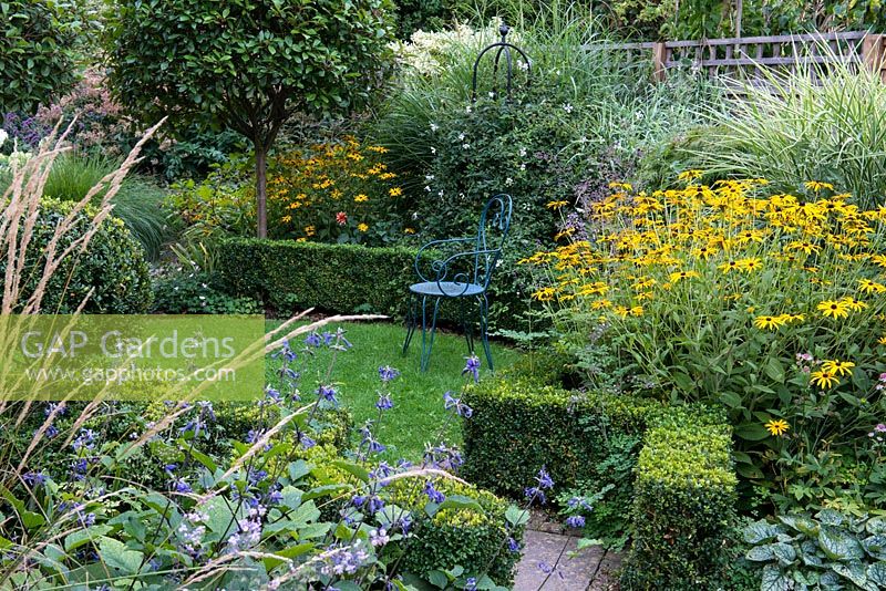 A suburban garden with a circular structure created by shaped box and a clover lawn. Two Photinia x fraseri standards divide the garden and provide height. Deep borders of mixed planting includes Astrantia, Rudbeckia, Salvia, Verbena and ornamental grasses.