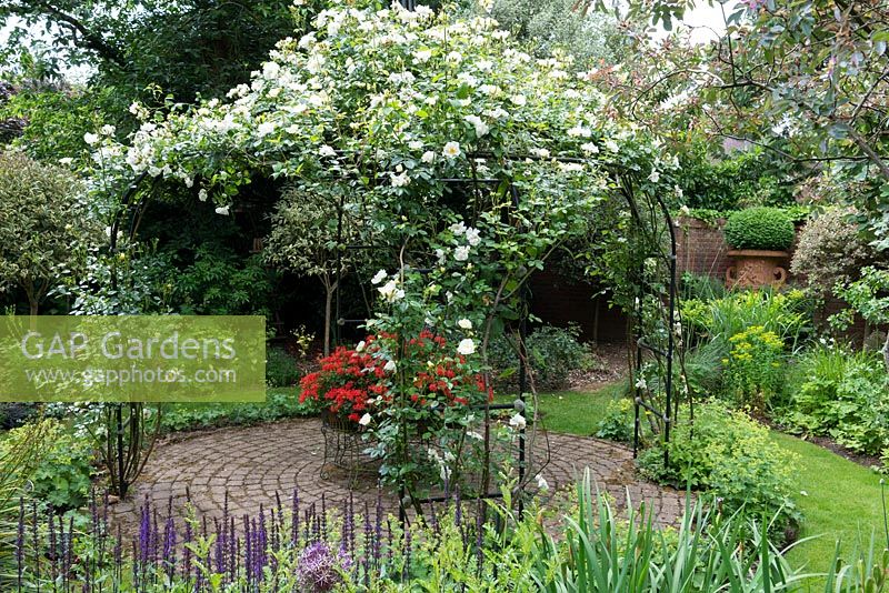 A circular patio made from stone pavers, beneath a metal pergola covered with white climbing roses.