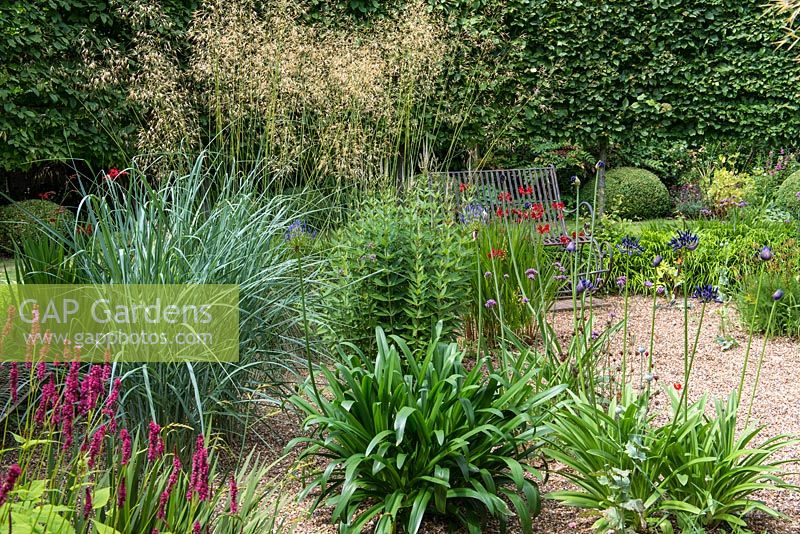 A gravel garden planted with Agapanthus, Verbena, persicaria and stipa grass.