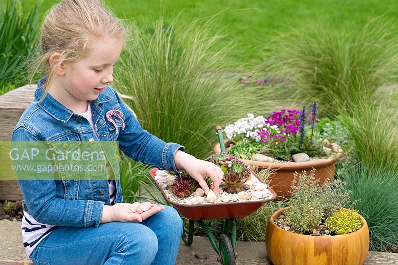 A young girl with 3 miniature gardens in container: wooden herb bowl, alpine bowl and wheelbarrow planted with succulents.
