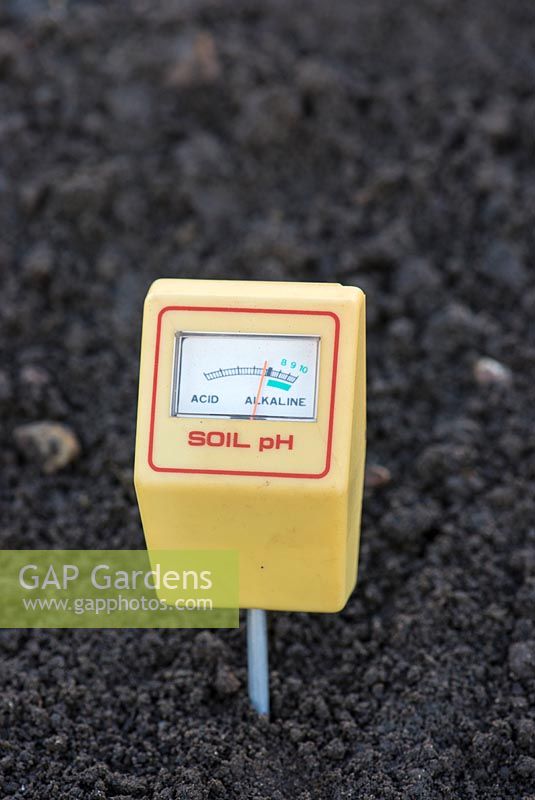 Soil pH meter inserted into garden soil.