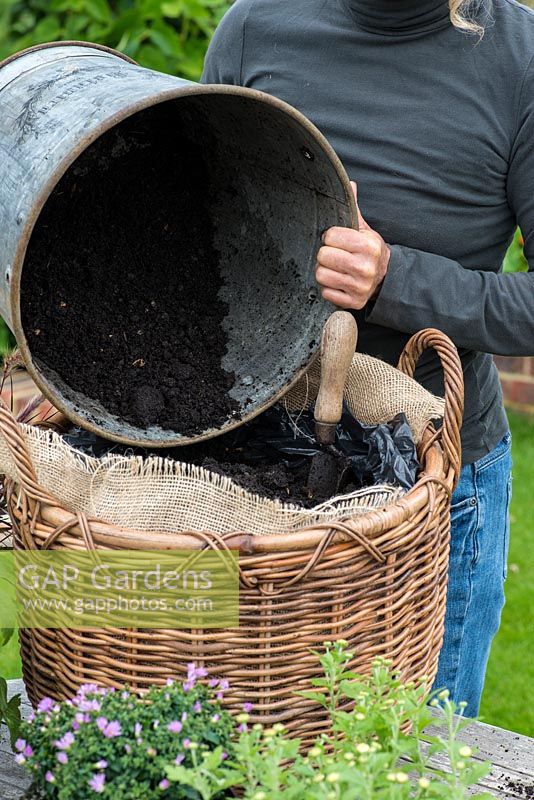Planting a log basket with early autumn flowering perennials. Adding multi-purpose compost to the basket