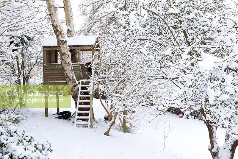 GAP Gardens - Treehouse in snow - Image No: 0561826 - Photo by Jonathan