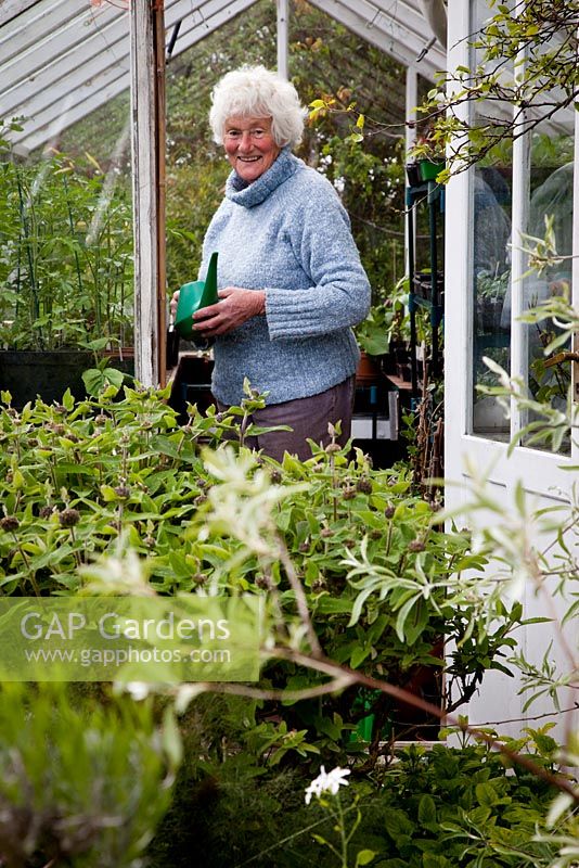 Shirley Gilbert watering pots in her greenhouse at Hill Cottage in North Norfolk.