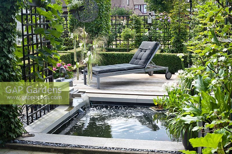 Small rectangular pond with cascade and wooden deck. Agapanthus orientalis White in pot. Family Fabry - Mathijs. Belgium