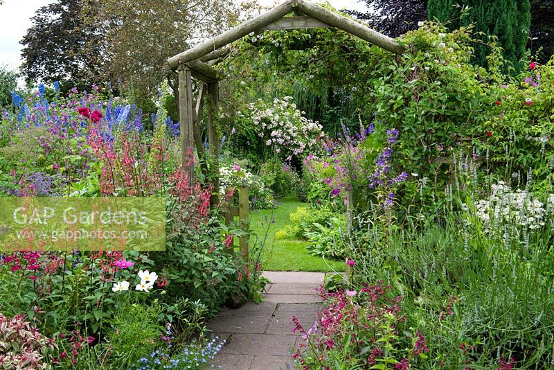 A cottage garden with path leading to rustic wooden arch, inbetween borders of phygelius, cosmos, penstemon, campanula, lavender and astrantia.
