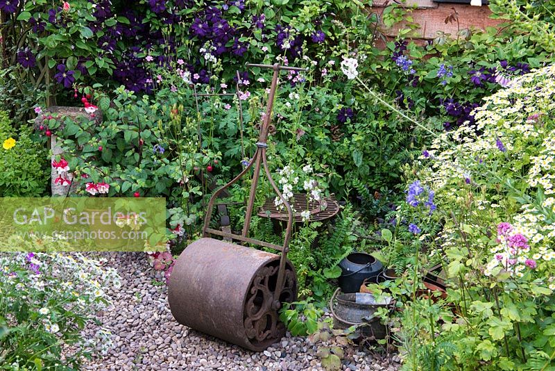 A cottage garden with cast iron roller in front of a border with hardy geranium, feverfew, Jacob's ladder, Clematis 'Etoile Violette' and a fuchsia in a pot.