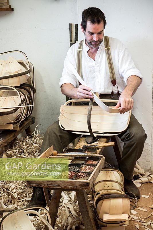 Charlie Groves making a traditional Sussex trug. Curving a willow board within the steam bent sweet chestnut rim, to form part of the basket's body.