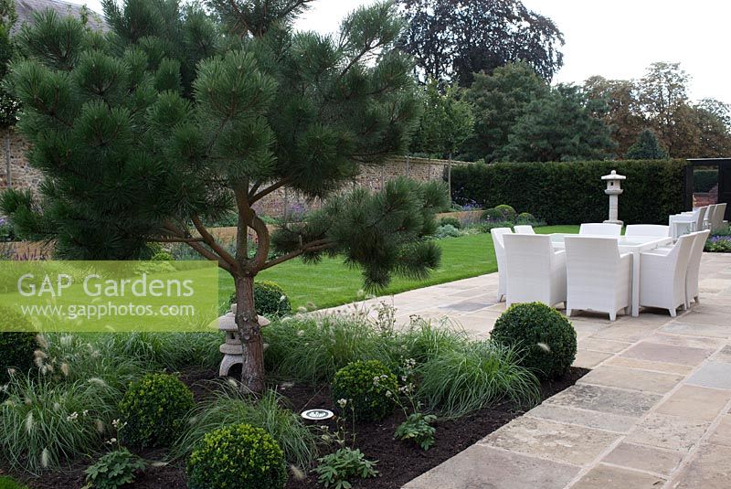 Pinus - Pine tree underplanted with Buxus - box balls, Astrantia and Pennisetum villosum. Seating on stone paving area in September. Design and Build: J Winter Landscapes Ltd