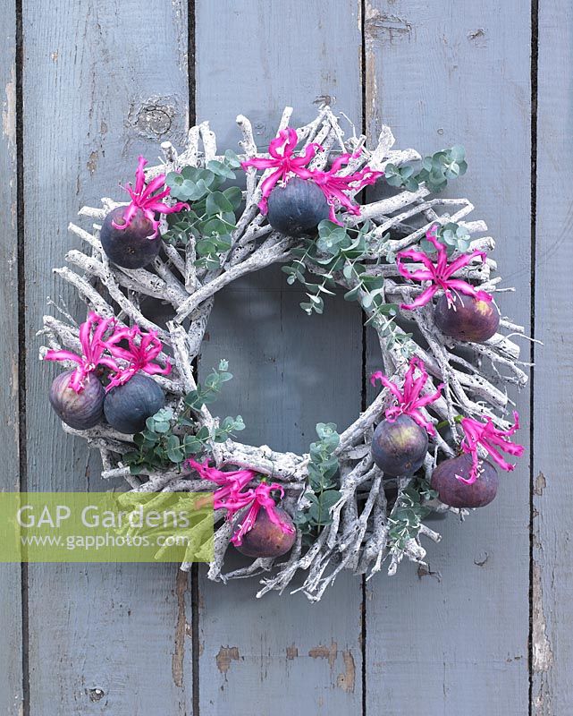 Wreath with figs and Nerine flowers