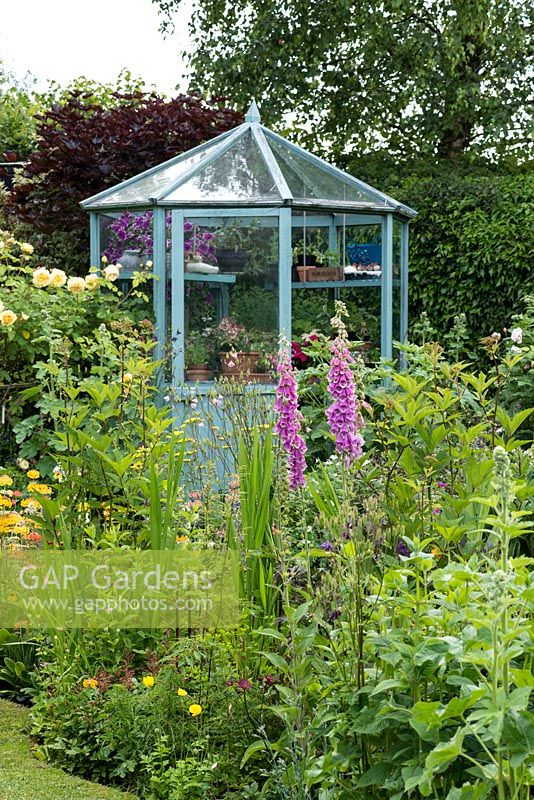 A cottage garden border with foxgloves, aquilegia and eupatorium in front of a green house with a painted wooden frame.
