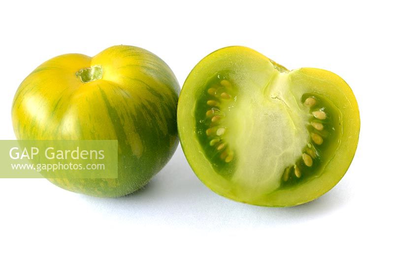 Solanum lycopersicum 'Green Zebra' syn. Lycopersicon esculentum. Picked fruit one cut in half 