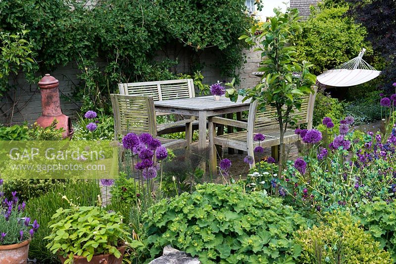 A patio seating area with wooden garden furniture and hammock behind a border planted with Allium 'Purple Sensation', Alchemilla mollis, strawberry, lavender, box and a young apple tree.