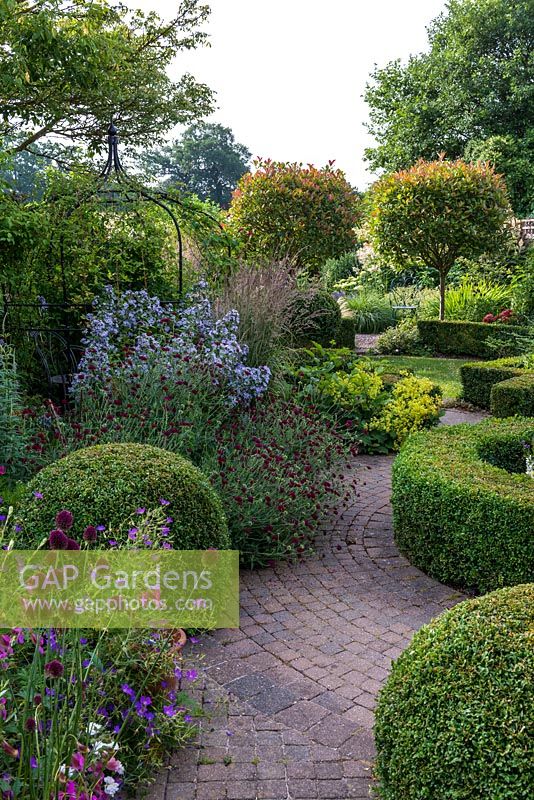 A suburban garden with a circular structure created by shaped box and paving sets. Two Photinia x fraseri standards divide the garden and provide height. Deep borders include mixed planting of Campanula, Knautia, Allium, Alchemilla, Clematis and ornamental grasses.