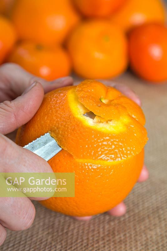 Rest the orange in your spare hand and gently peel with a downwards spiral