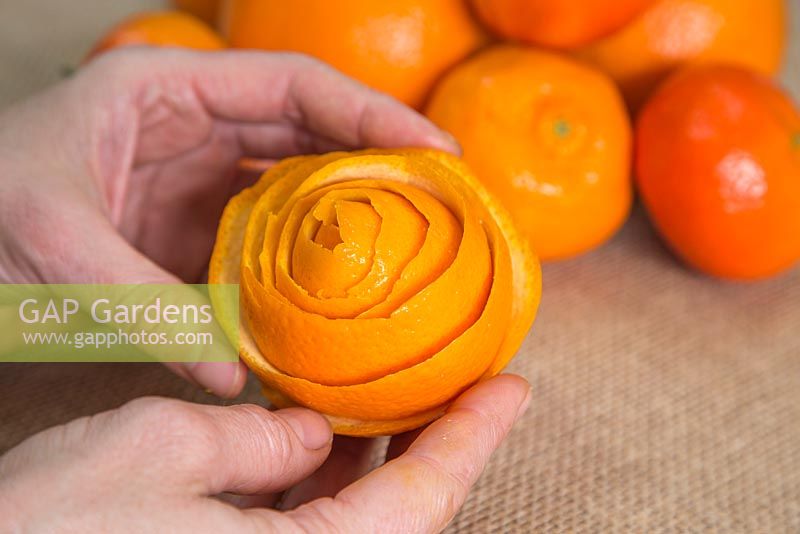 Orange peel wrapped around itself to create a flower shaped head