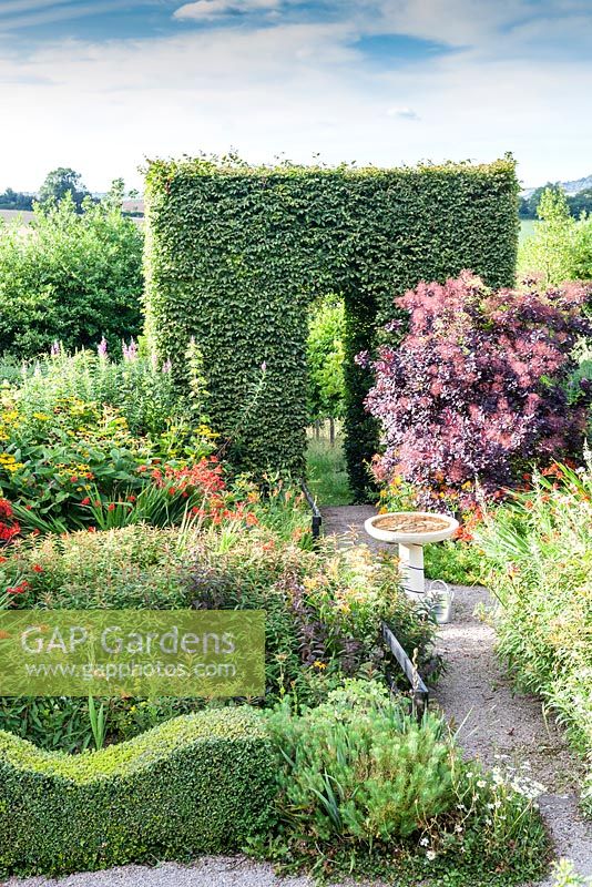The Front Garden. Bird Bath.  Wavy hedge of Buxus semperviens, arch of clipped Carpinus betulus - Hornbeam, Cotinus coggygria. Veddw House Garden, Monmouthshire, South Wales. July 2015. Garden created by Anne Wareham and Charles Hawes.