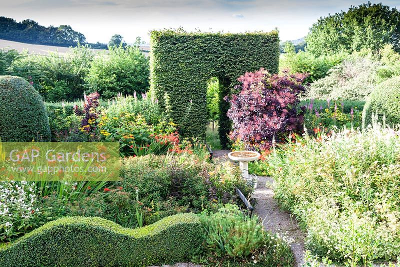 The Front Garden. Bird Bath.  Wavy hedge of Buxus semperviens, arch of clipped Carpinus betulus - Hornbeam, clipped mounds of Osmanthus x burkwoodii, Cotinus coggygria. Veddw House Garden, Monmouthshire, South Wales. July 2015.  Garden created by Anne Wareham and Charles Hawes.