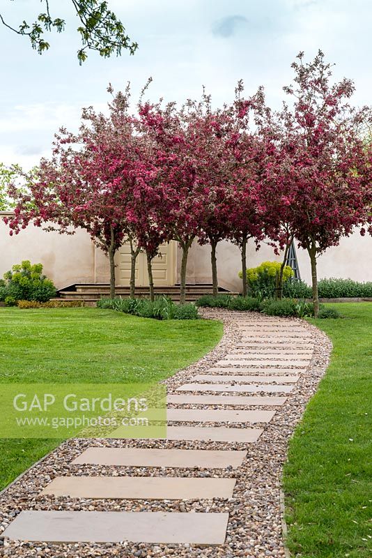 A long curved path leading to a small grove a crabapple trees in blossom.