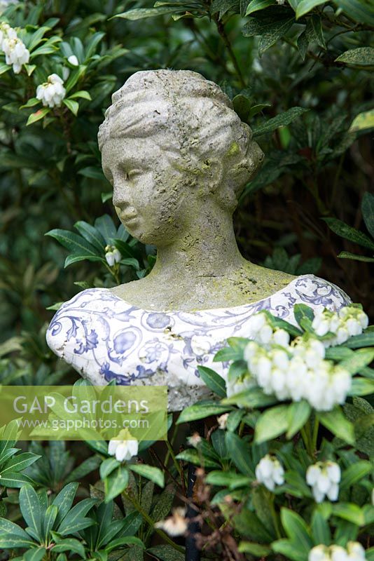 An ornamental stone bust plant amongst a white Pieris bush.