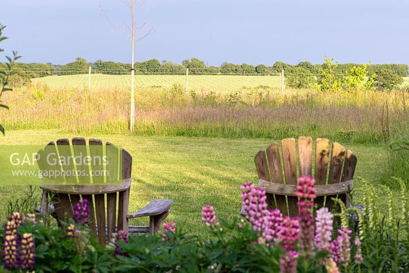 Behind a border of lupins, two ariondack chairs look out accross the meadow and Essex countryside beyond.
