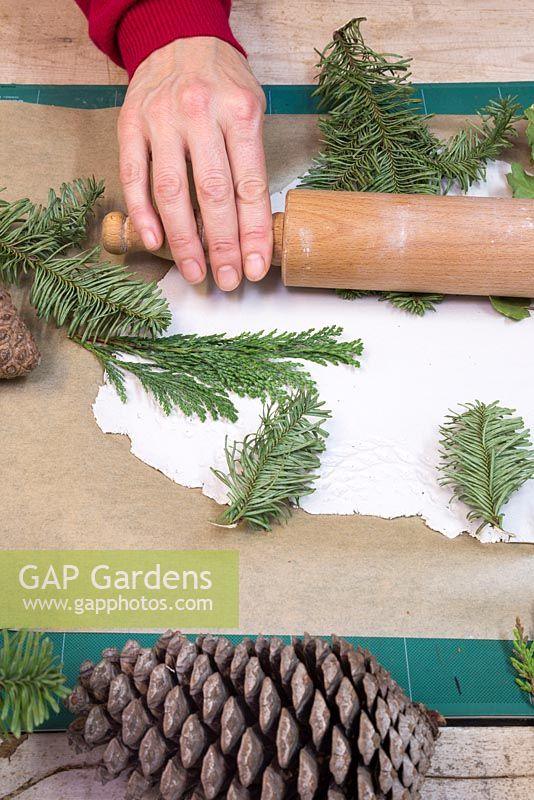 Once the modelling clay has been flattened, place the conifer foliage on the clay and gently apply pressure to add impressions