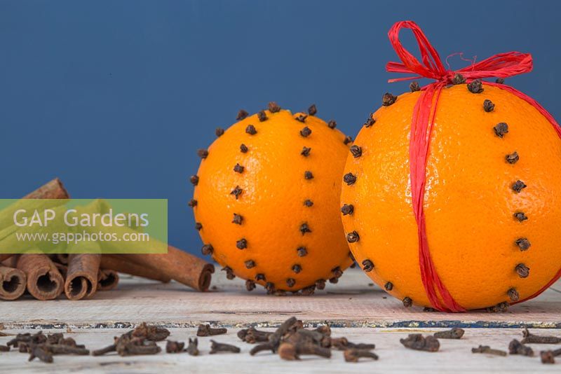 Orange pomanders displayed on wooden surface with Cinnamon sticks and Cloves