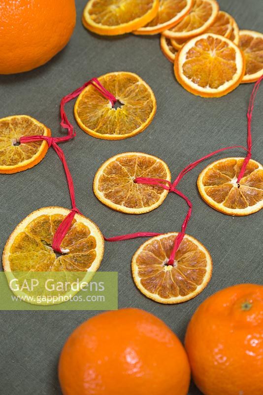 A hanging decoration of red ribbon and dried Citrus fruit