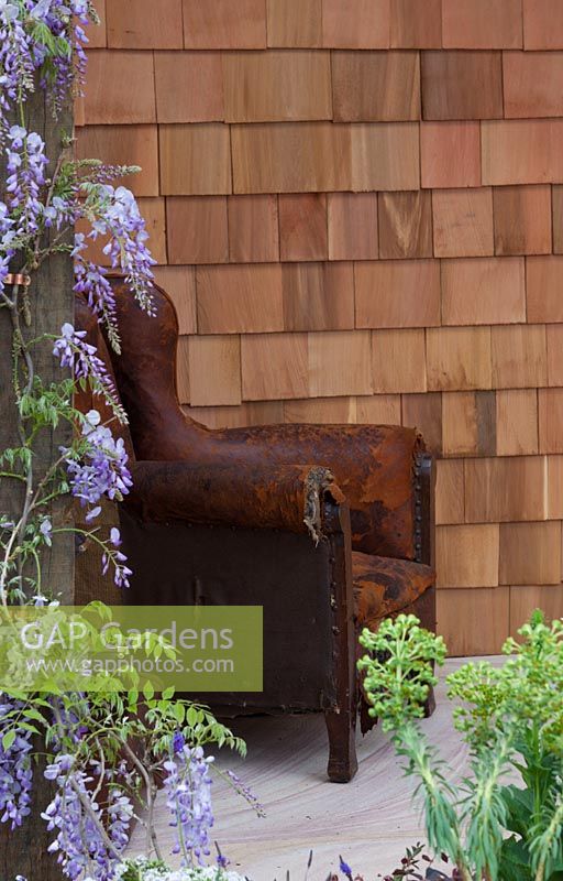 Wisteria sinensis growing up a recycled timber post next to a rustic leather armchair.