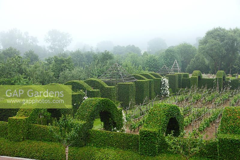 View of the hornbeam 'cloister' at Le  Prieuré Notre Dame d'Orsan in the mist